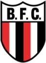 Botafogo SP logo