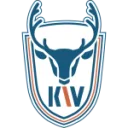 Dalian Kewei logo