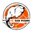San-Pédro logo