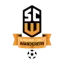 SC Wanderers logo