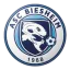 Biesheim logo