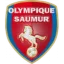 Saumur logo