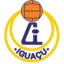 AA Iguaçu logo