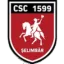 Viitorul Şelimbăr logo