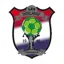 Wiślanie Jaśkowice logo
