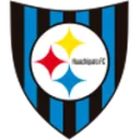 Huachipato logo
