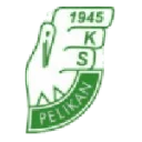 Pelikan Łowicz logo