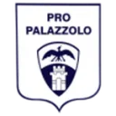 Pro Palazzolo logo