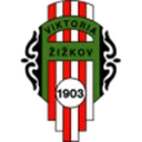 Viktoria Zizkov logo