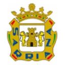 SD Sarriana logo