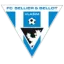 Vlašim logo