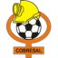 Cobresal logo