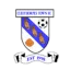 Cleethorpes Town logo