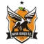 Nova Iguaçu U20 logo