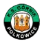 Górnik Polkowice logo