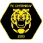 Chernihiv logo