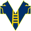 Hellas Verona U20 logo