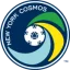 NY Cosmos logo