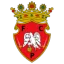 Penafiel logo