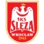 Sleza Wroclaw W logo
