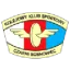 Czarni Sosnowiec W logo
