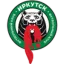 Irkutsk logo