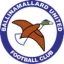 Ballinamallard United logo