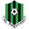 Rokycany logo