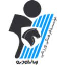 Paykan logo