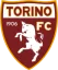 Torino U20 logo