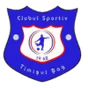 Timisul Sag logo