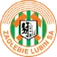 Zagłębie Lubin U19 logo