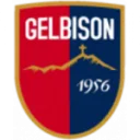Gelbison logo