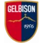 Gelbison logo