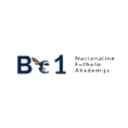 BE1 NFA logo
