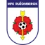 Ružomberok logo
