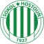 Sokol Hostouň logo