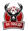 Pobeda Nizhniy Novgorod logo