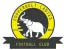 Copperbelt Ladies W logo