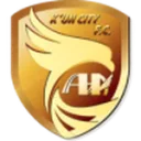 Dalian Huayi logo