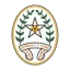 Estrela Calheta logo