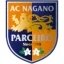 Parceiro Nagano W logo