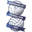 Birmingham logo