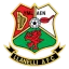 llanelli AFC logo
