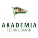 Akademia Piłkarska LG W logo