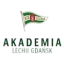 Akademia Piłkarska LG W logo