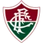 Fluminense W logo