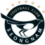 Seongnam FC logo