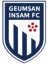 Geumsan Insam logo