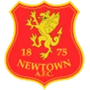 Newtown logo